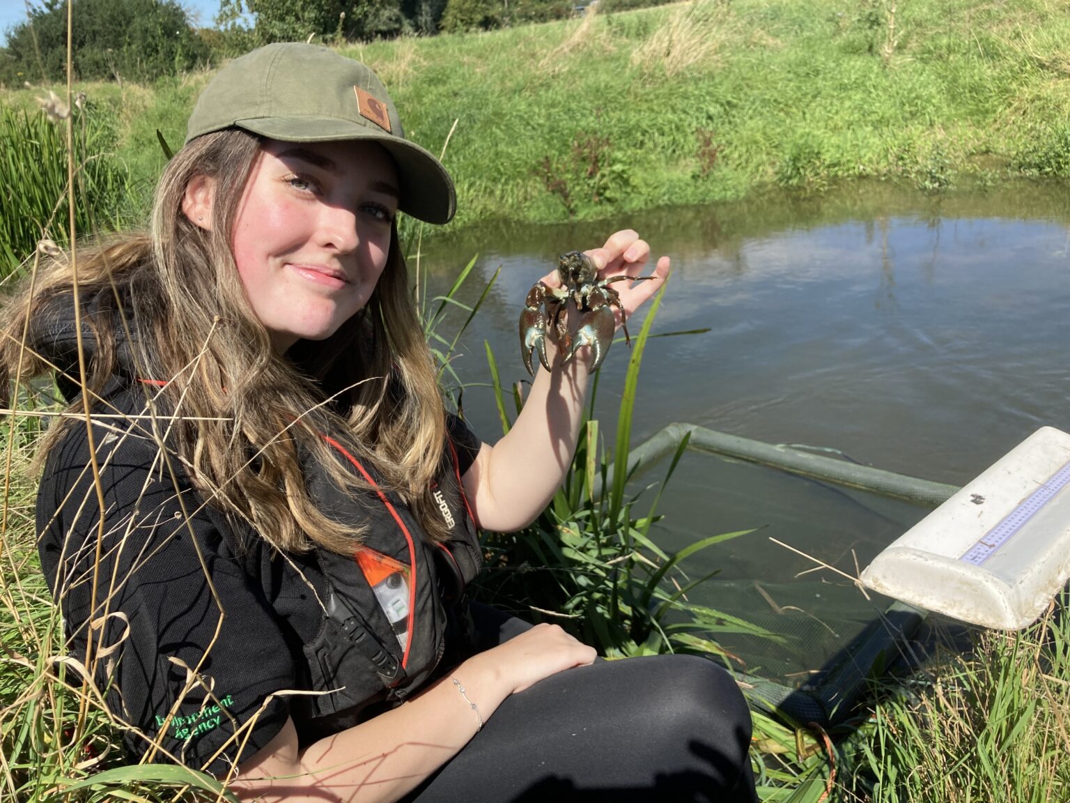 Invasive Species Creating A Better Place 