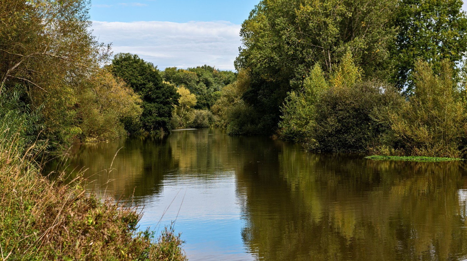 View of a tranquil river bordered by trees and greenery in South East England