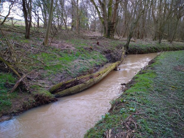 Examples of natural flood management and river restoration work. Credits: L A Sharpe and Lincs Chalk Streams Partnership