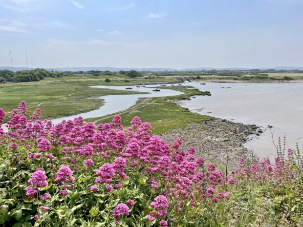 The Environment agency is involved in restoring biodiversity to a number of different coastal and shoreline habitats