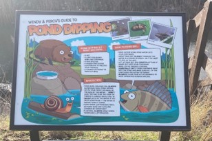 The image shows a large sign with the words ‘Wendy and Percy’s guide to pond dipping’ on it alongside instruction of how to go pond dipping, an illustration of Wendy and Percy and the local river, alongside some images of local wildlife. 