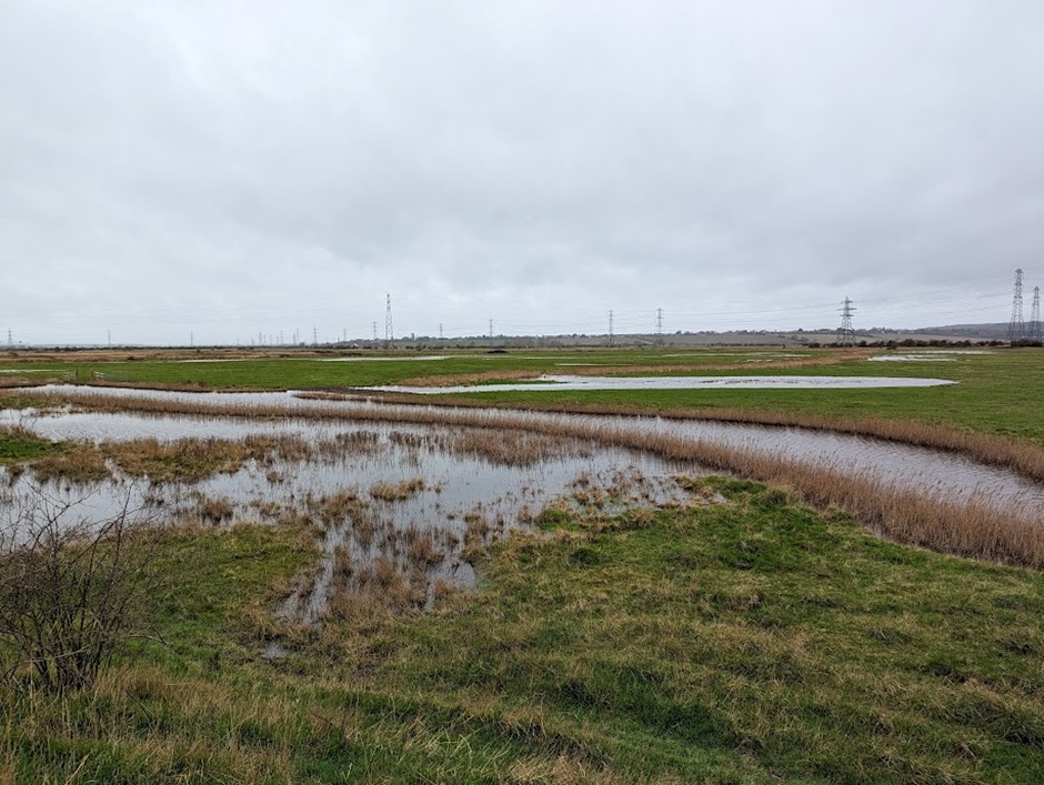 Restoration Of Coastal Grazing Marsh In Essex Environment Agency For 