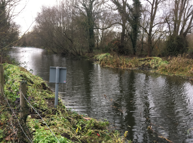 Floating pennywort before and after at Brampton