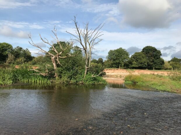 The Environment Agency implemented nature-based solutions at Cullompton to address local flood risk.