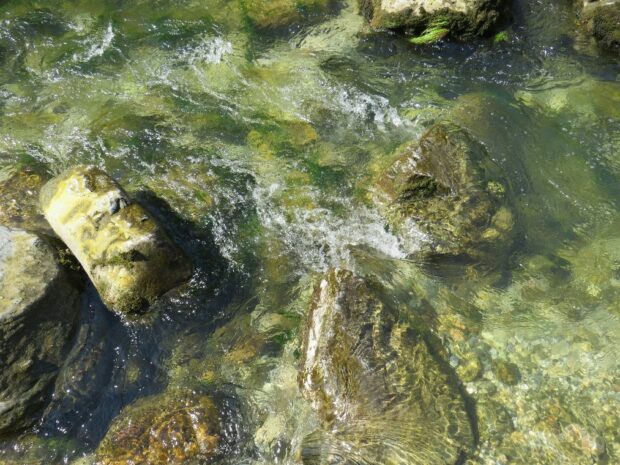 Photo of rocks in a river coated with biofilms.