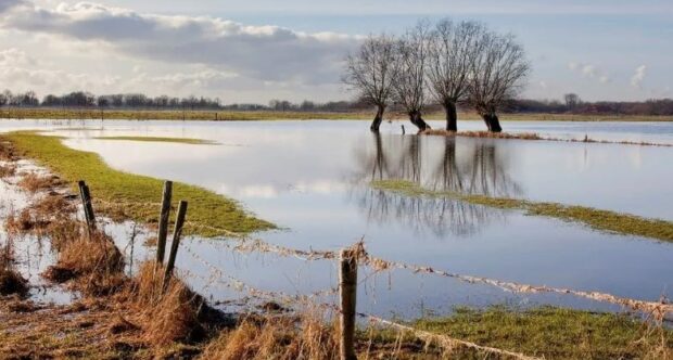 Flooded agricultural land