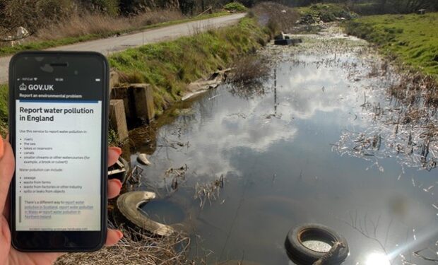 An image of a watercourse with rubbish dumped in it, with a mobile phone superimposed featuring the reporting page on gov.uk.