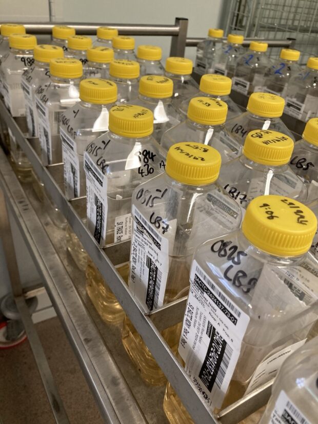 Bottles of samples in Starcross Labs