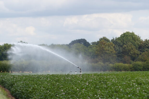 Water is abstracted by farmers and other water users to make sure crops can survive during periods of dry weather