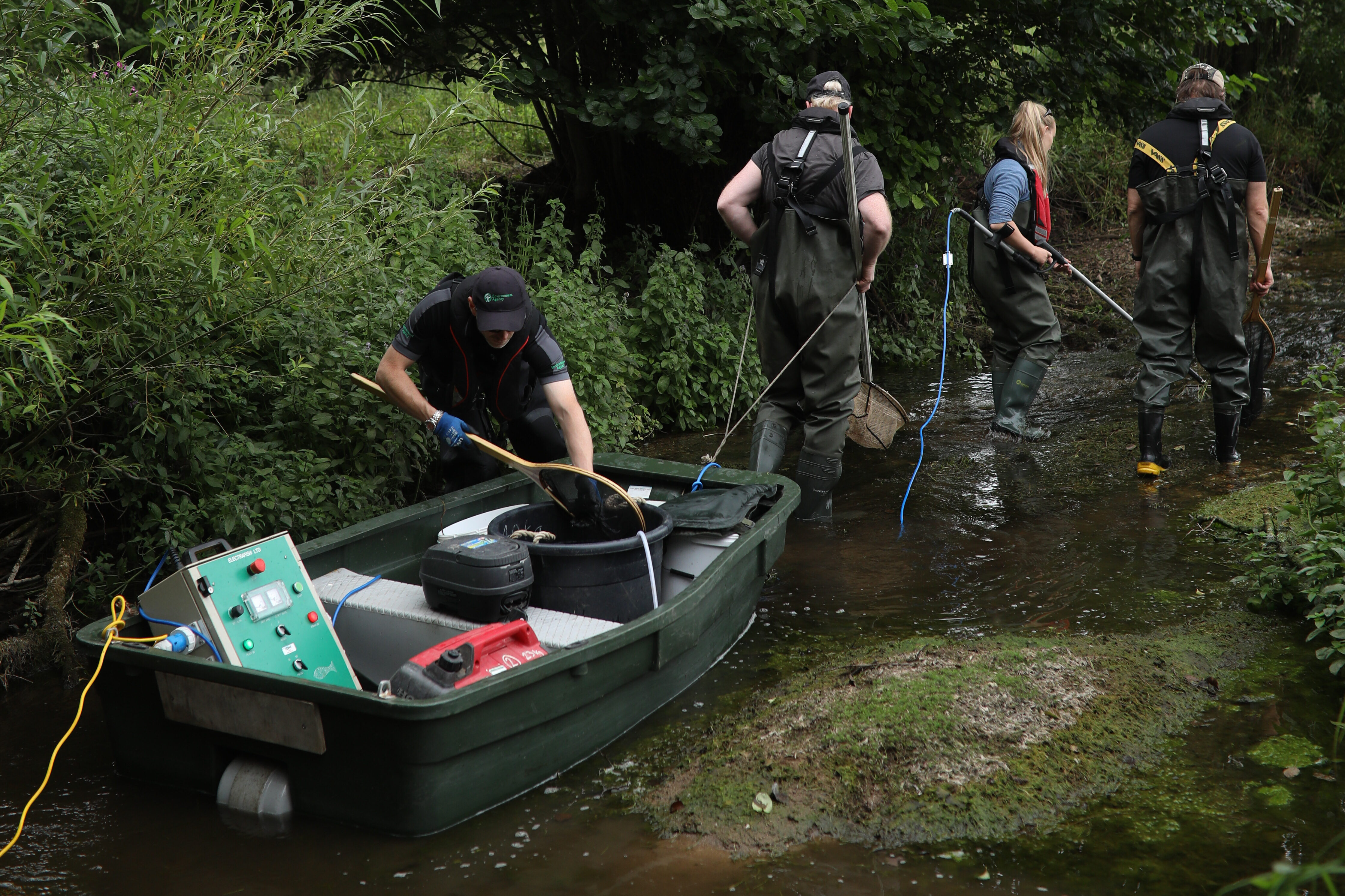 Several Environment Agency officers, wearing lifejackets and waders, walking up a shallow watercourse and carrying long poles used to gently stun fish so they can be scooped into a large water container for relocation