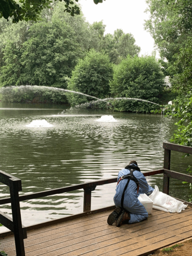 Water is seen churning in two spots on a still lake, caused by unseen aeration devices in the water.