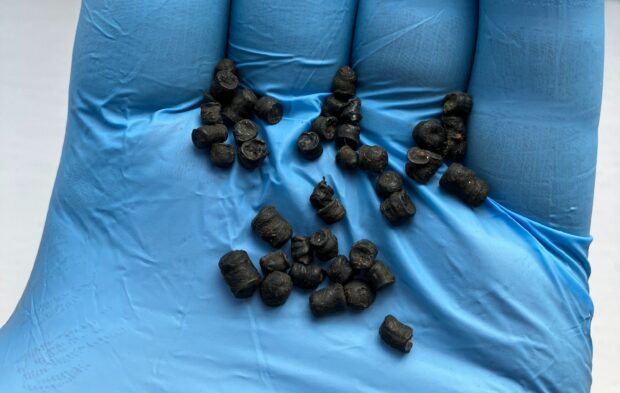 A handful of bio-beads.