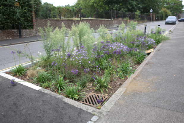 A Sustainable Drainage System (SuDS) feature on a residential road.