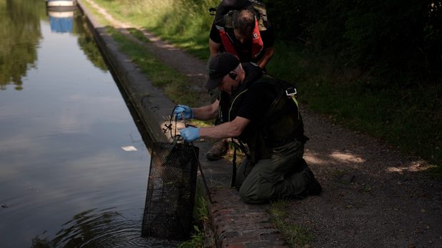 Environment Agency fisheries officers pull a trap out of the water.