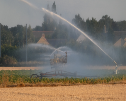 Picture of spray irrigation being undertaken in a field.