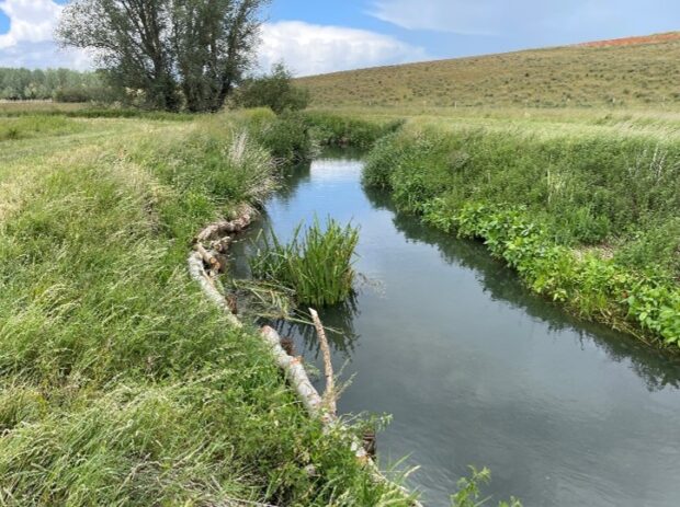 A river on a sunny day