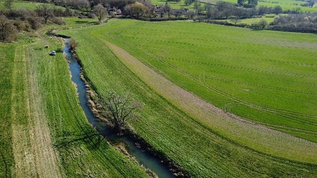The River Rib flowing in a straighter line before it was restored