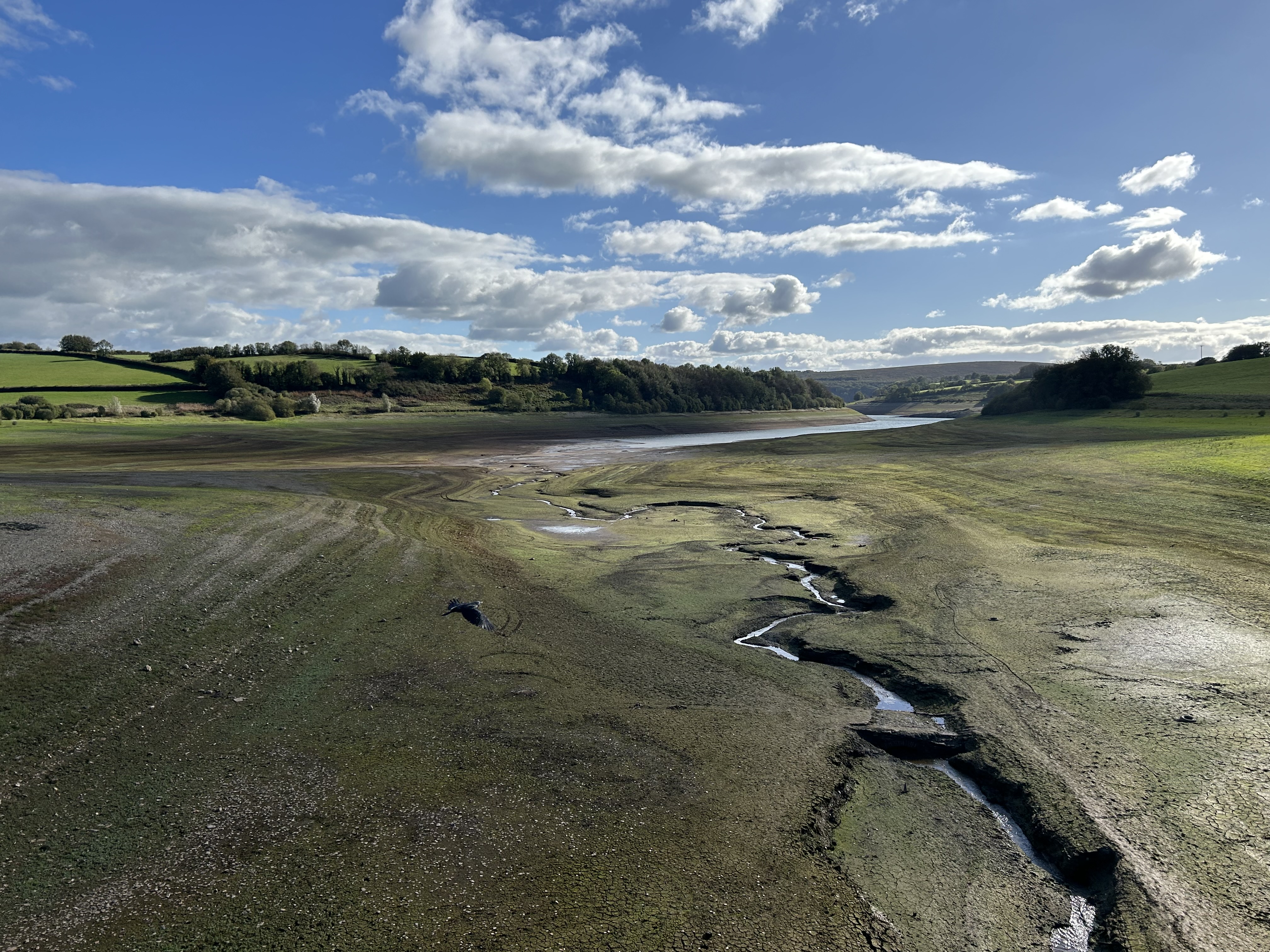 What is severe drought? – Environment Agency: For homes and habitats.